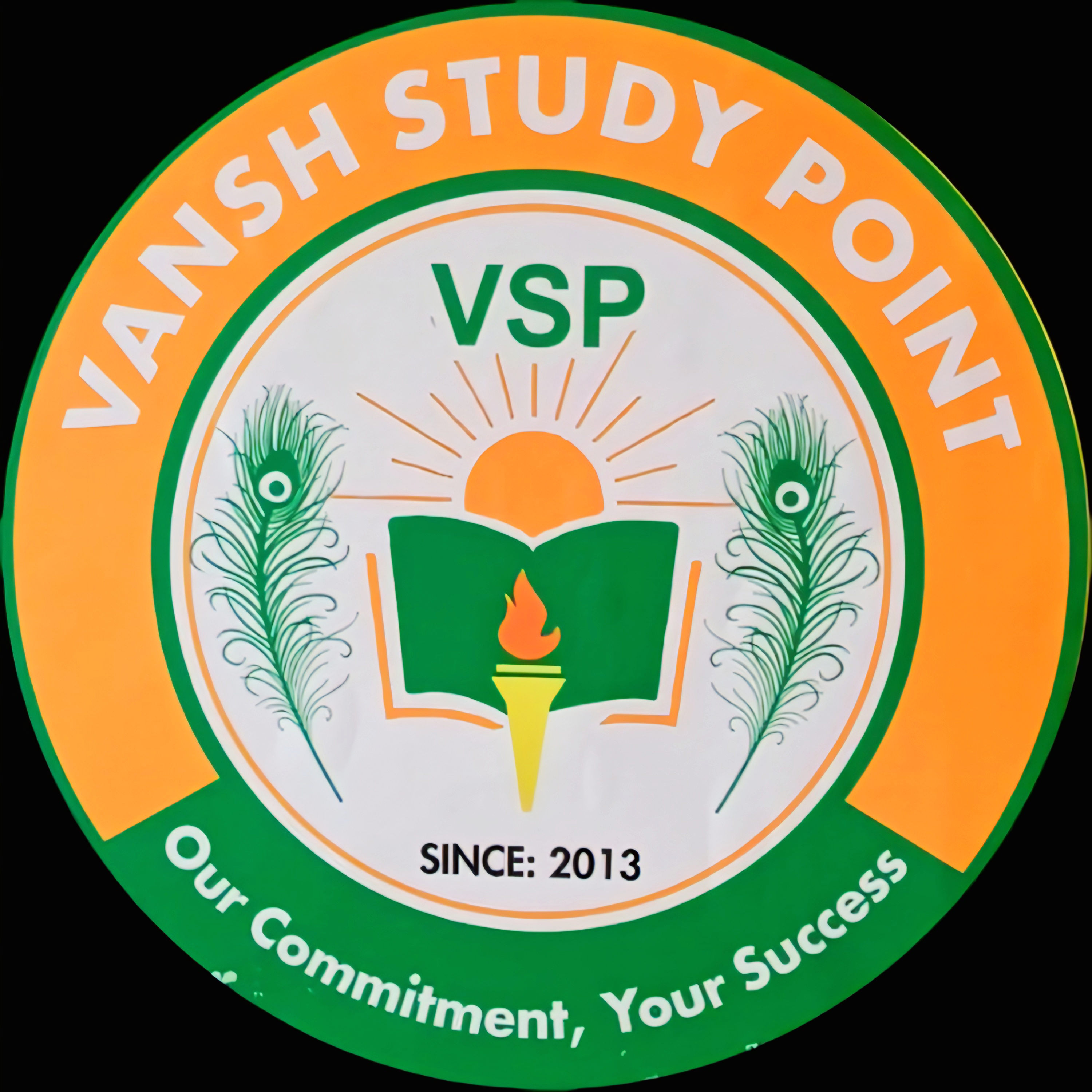vsp-logo